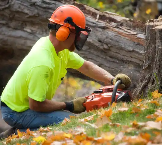 tree services Mancelona